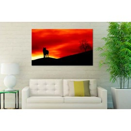 Orange abstract 10167