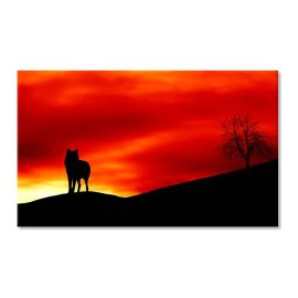 Tablouri Orange 10967