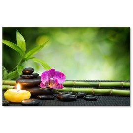 Orhidee si pietre 4065