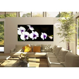 Orhidee alb si mov 2030