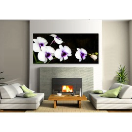 Orhidee alb si mov 2030