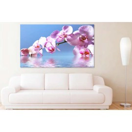 Orhidee in apa 64487