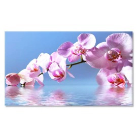 Orhidee in apa 64487