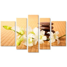 Orhidee si bambus 1042