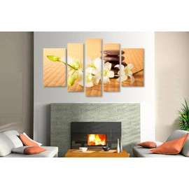 Orhidee si bambus 1042