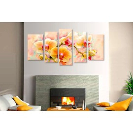 Orhidee in culori calde 2391