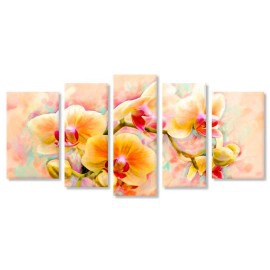 Orhidee in culori calde 2391