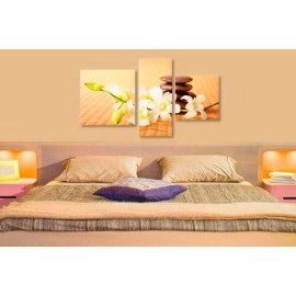 Orhidee si pietre 10442