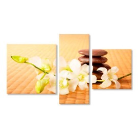 Orhidee si pietre 10442