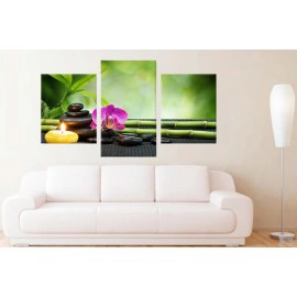 Pietre si orhidee 40865