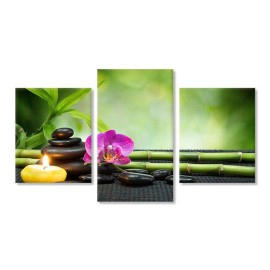 Pietre si orhidee 40865