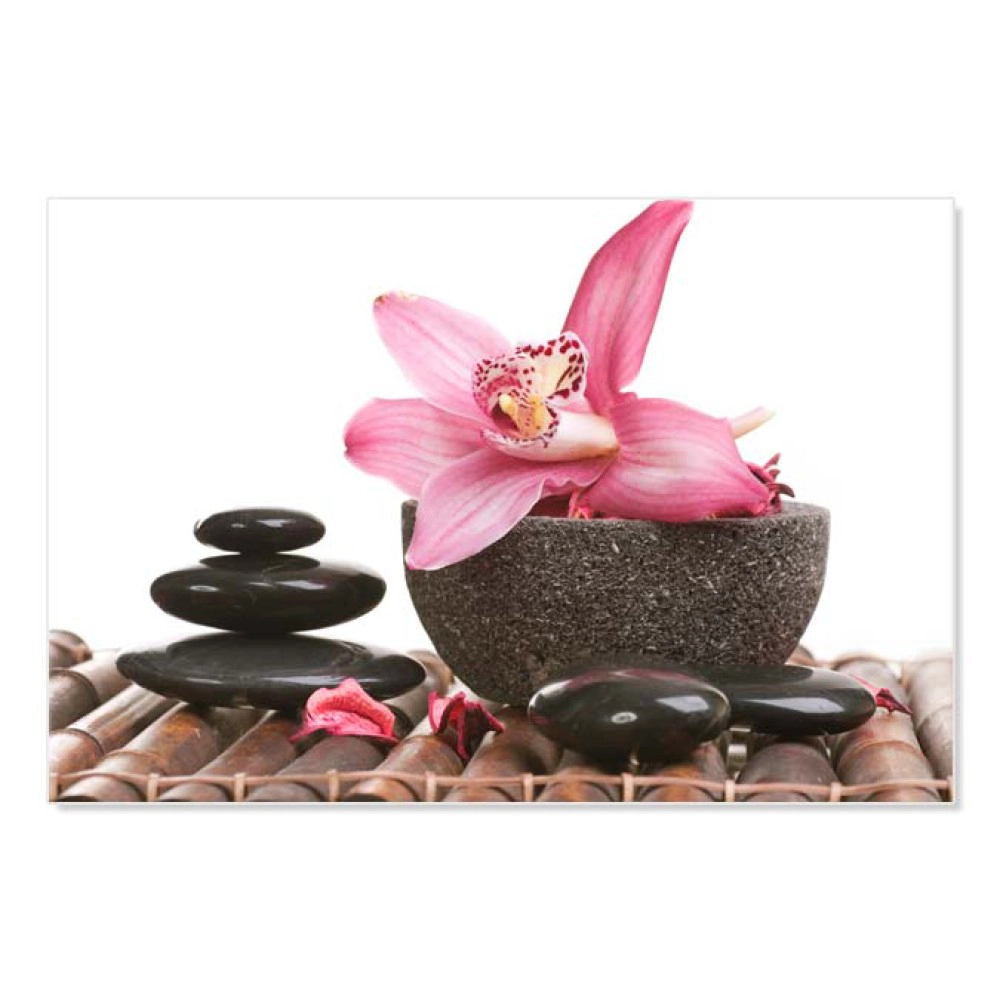 Orhidee si mojar 9587