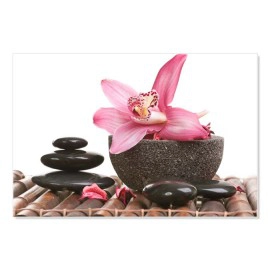 Orhidee si mojar 9587