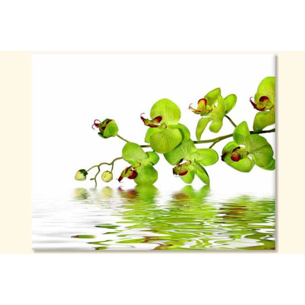 Tablouri Orhidee 22642