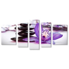 Orhidee mov si pietre 38955