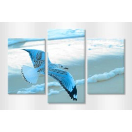 Pescarus in zbor 25340