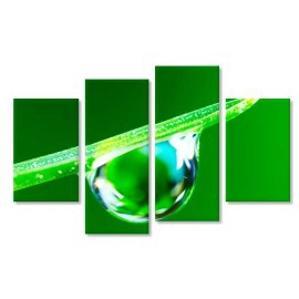 Tablouri canvas picatura 25358