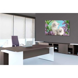 Pisicute si liliac 4126