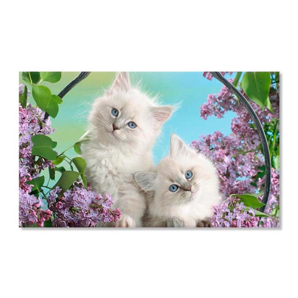 Pisicute si liliac 4126