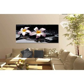 Tablouri Plumeria 7550