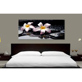 Tablouri Plumeria 7550