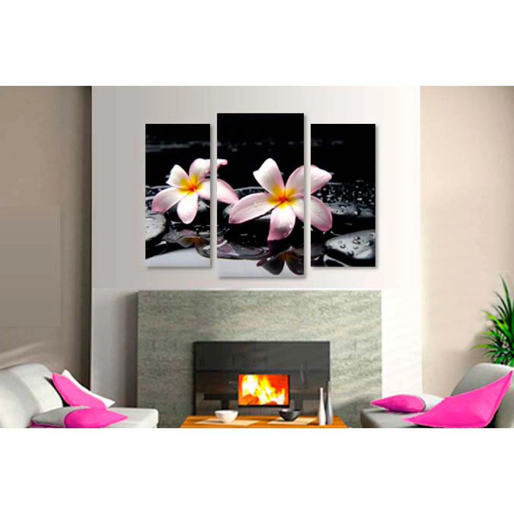 Plumeria pe pietre 75050