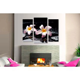 Plumeria pe pietre 75050