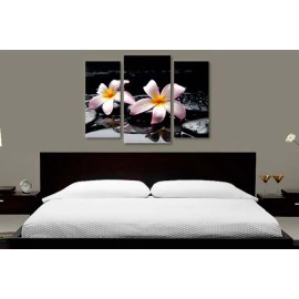 Plumeria pe pietre 75050