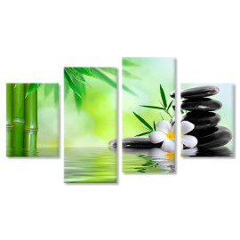 Bambus si Plumeria 57208