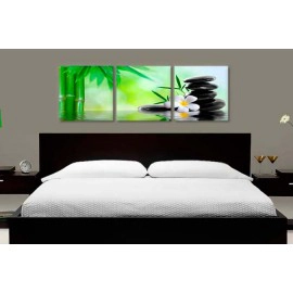 Plumeria bamboo 5708