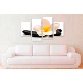 Plumeria si pietre 3111