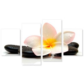 Plumeria si pietre 3111