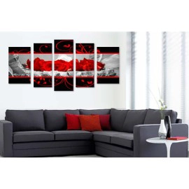 Trandafiri rosii 6566