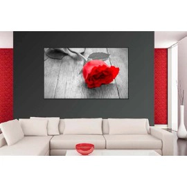 Tablouri red rose 3870