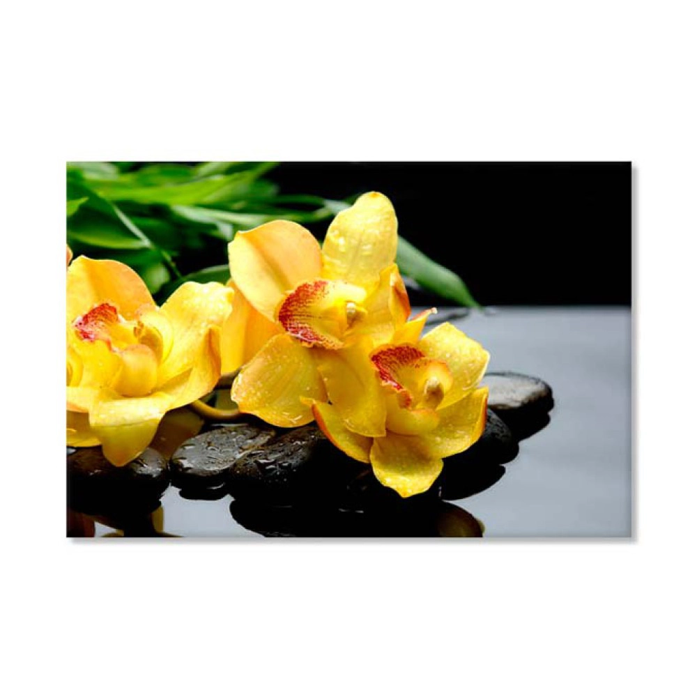 Orhidee galbena 4523