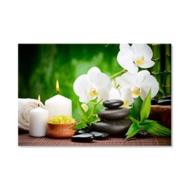 Orhidee relax spa 4687