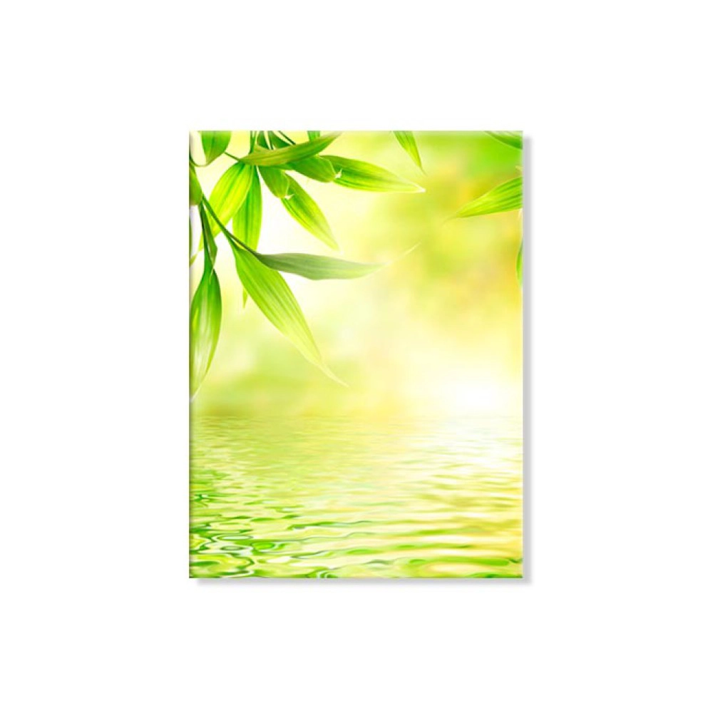 Relaxing bamboo 5502