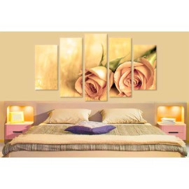 Trandafiri cuminti 1346