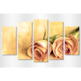 Trandafiri cuminti 1346