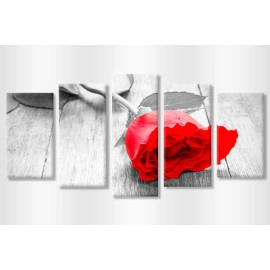 Tablouri flori trandafir rosu 38070