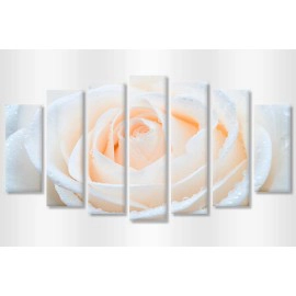 Tablouri canvas 7 piese trandafir