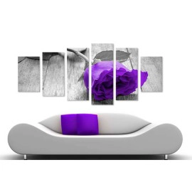 Trandafir mov BW 38470