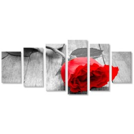 Trandafir rosu 38170