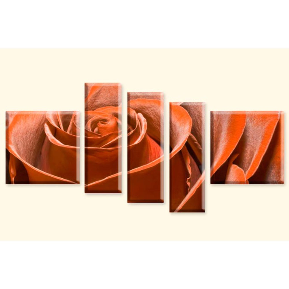 Trandafir 7979 - orange