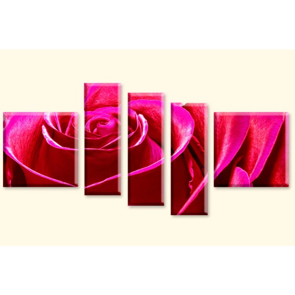 Trandafir 7979 - rosu