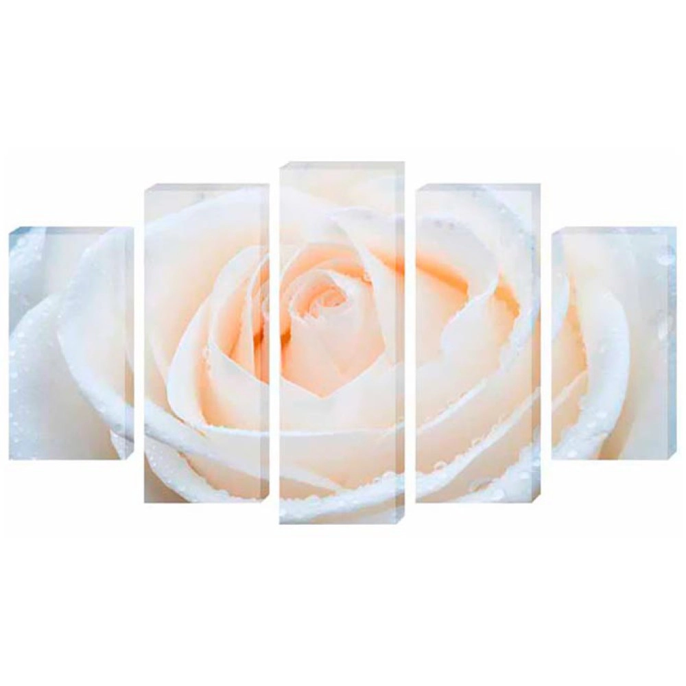 Tablouri Rose alb 4457