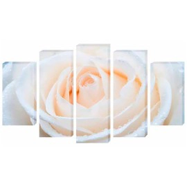 Tablouri Rose alb 4457