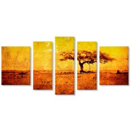 Savana africana 1529