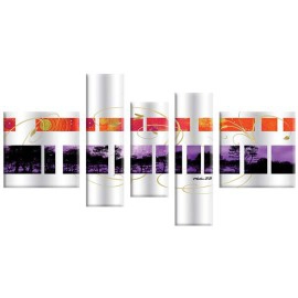 Tablouri Silver 7138