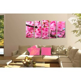 Primavara inflorita 2742